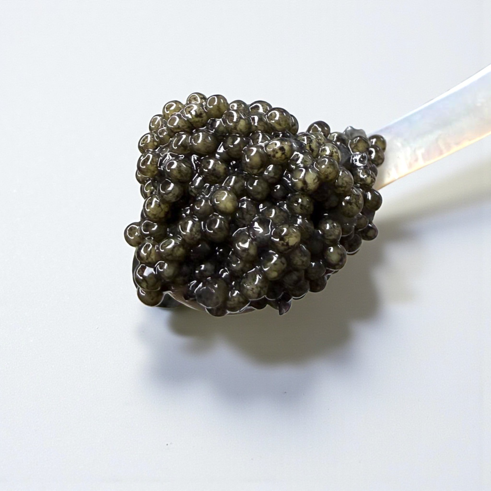 Paddlefish Caviar