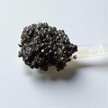 Hackleback Caviar