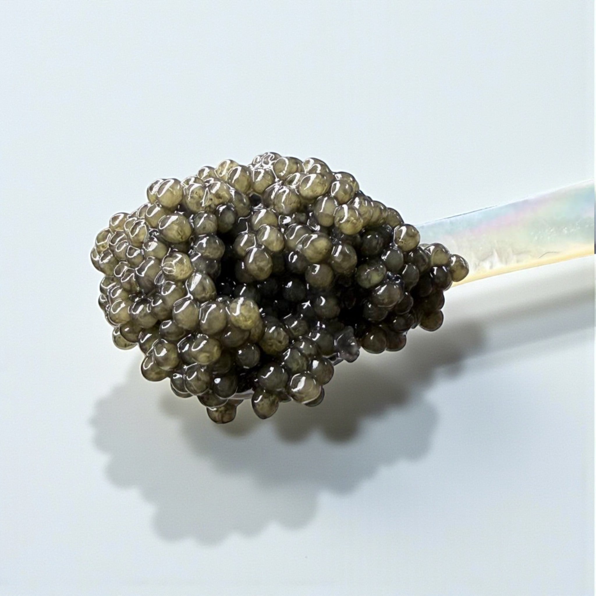 White Sturgeon Caviar